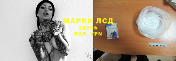 гашик Новокубанск