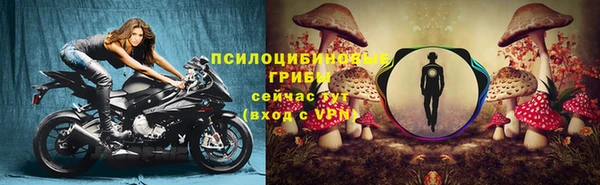 гашиш Новодвинск