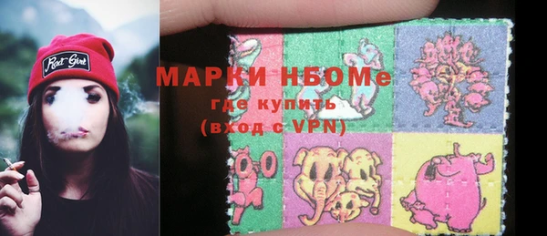 ПСИЛОЦИБИНОВЫЕ ГРИБЫ Новозыбков